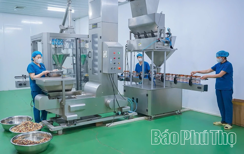 Trà Quê Việt - tinh hoa từ thiên nhiên