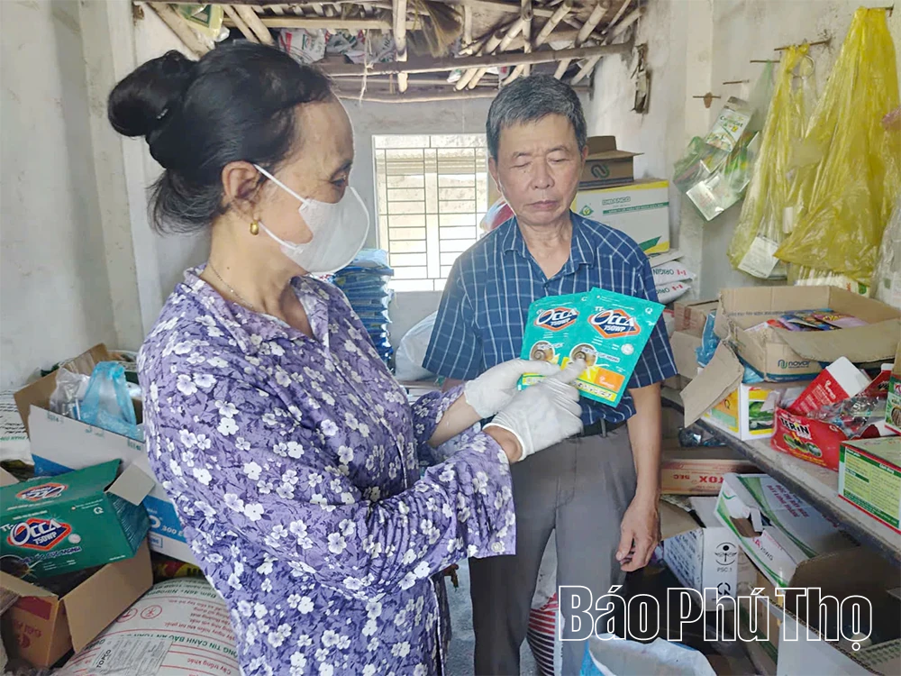 Chủ động nguồn giống, vật tư cho vụ Mùa