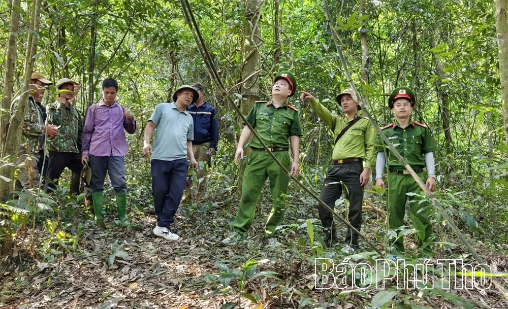Ngăn ngừa cháy rừng mùa nắng nóng
