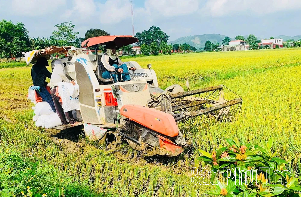 Võ Miếu linh hoạt trong công tác giảm nghèo