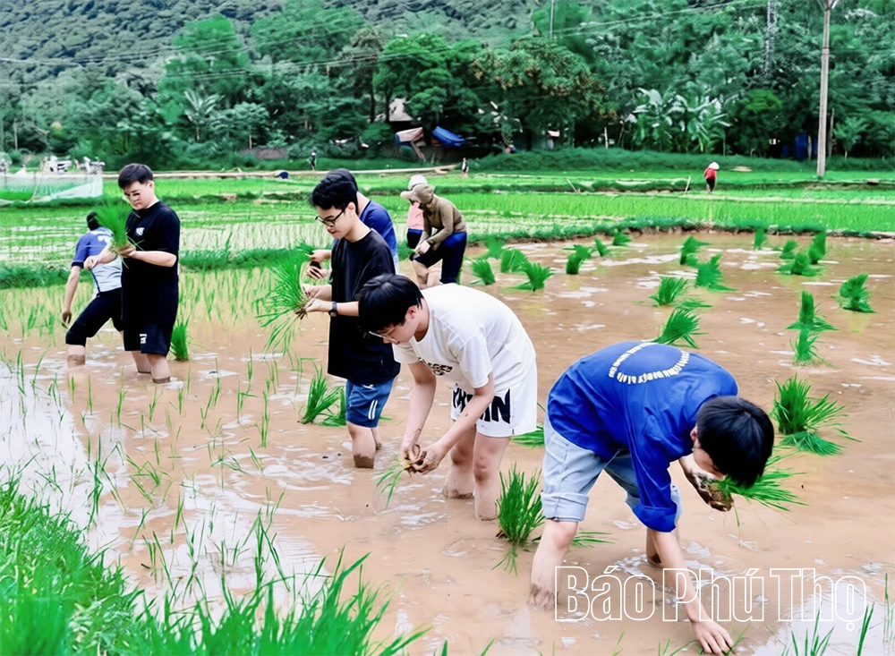 Sôi nổi Tháng tri ân ở xã vùng cao Mai Hạ