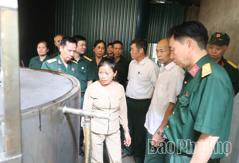 Cựu chiến binh xã Thái Hòa nêu gương sáng