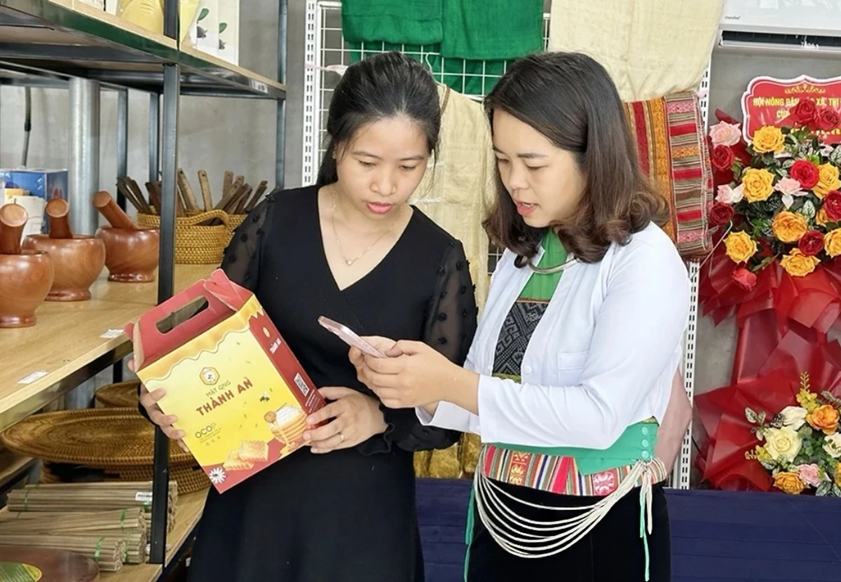 Từ Bình dân học vụ số đến công dân số