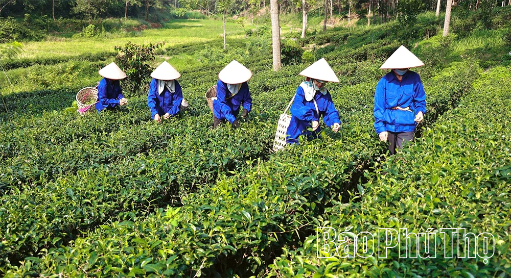 Chuyển đổi xanh - “Tấm vé thông hành” ra thị trường thế giới
