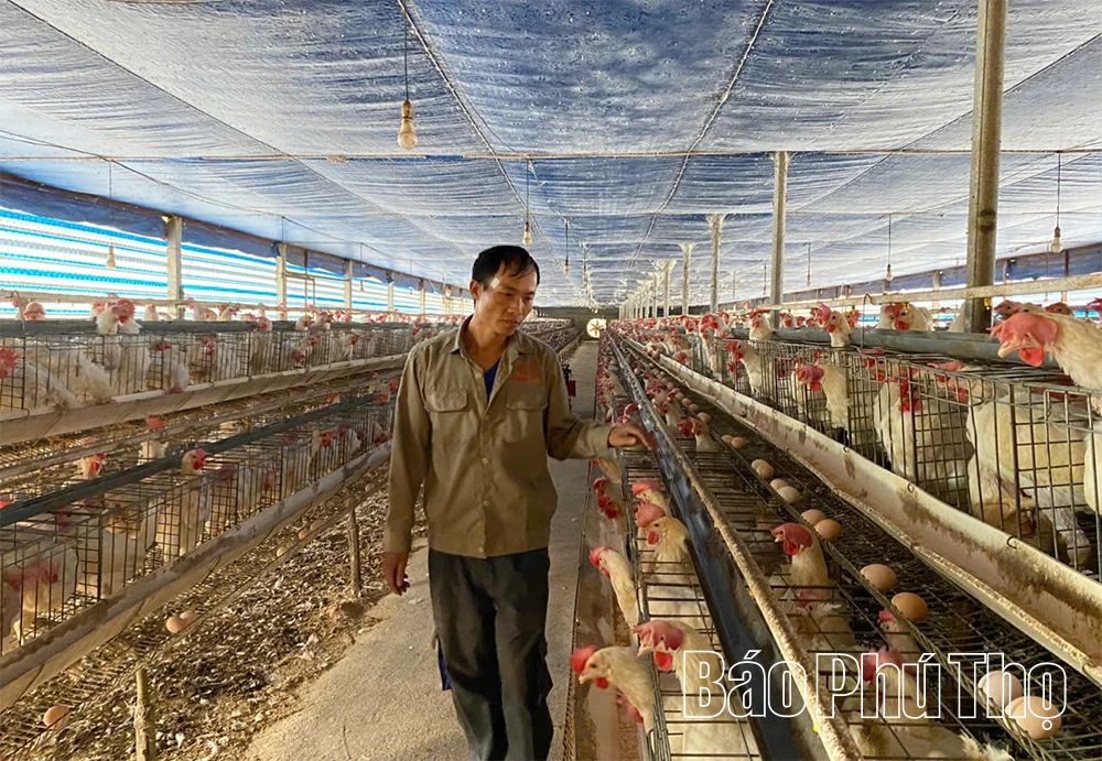 Phát triển nông nghiệp thích ứng biến đổi khí hậu