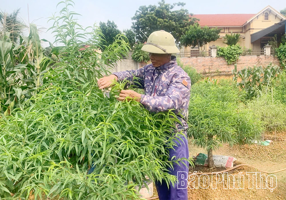 Hy Cương đưa việc học và làm theo Bác vào cuộc sống