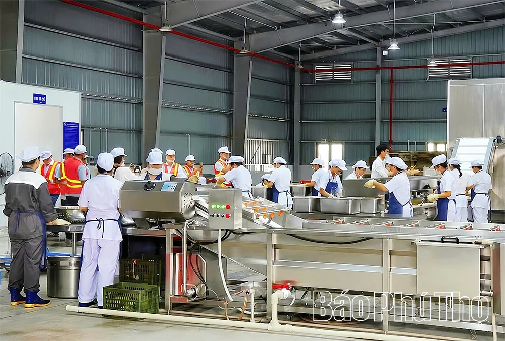 Nông sản OCOP Phú Thọ tìm đường ra thị trường thế giới