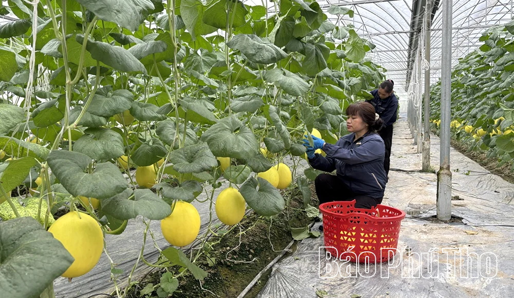 Doanh nghiệp tiên phong đổi mới sáng tạo