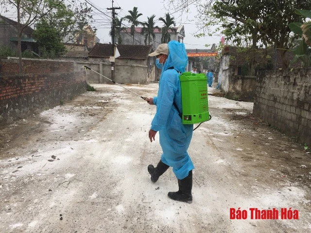 Thực hiện các biện pháp khoanh vùng, khống chế, ngăn ngừa bệnh dịch tả lợn Châu Phi tại xã Thiệu Phúc (Thiệu Hóa)