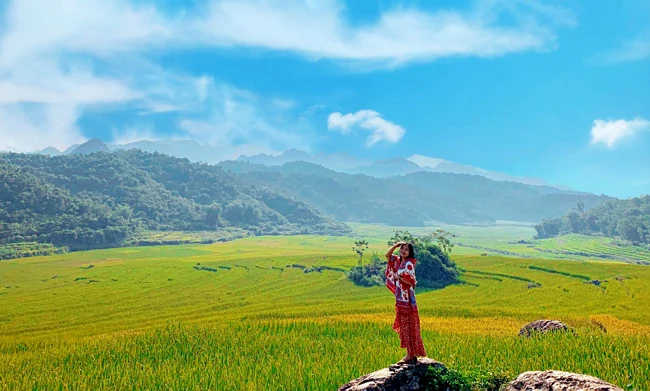 Rực rỡ mùa vàng Pù Luông