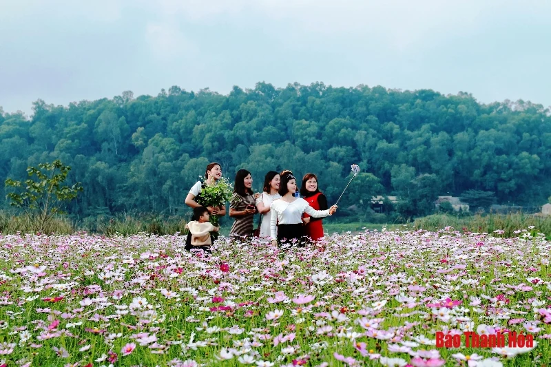 Mê mẩn sắc hoa bên dòng sông Mã