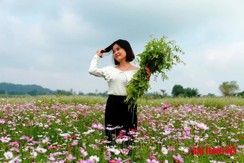 Mê mẩn sắc hoa bên dòng sông Mã