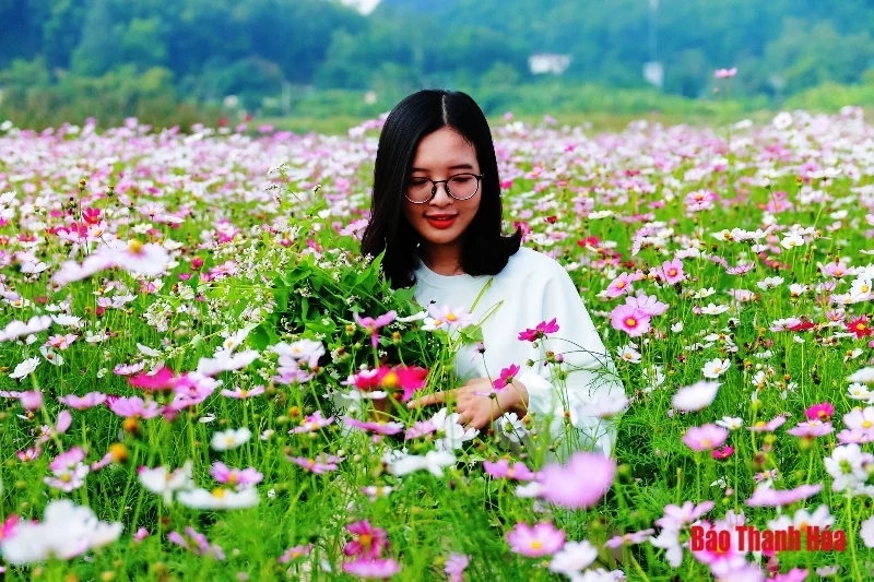 Mê mẩn sắc hoa bên dòng sông Mã