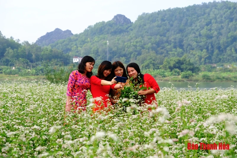 Mê mẩn sắc hoa bên dòng sông Mã