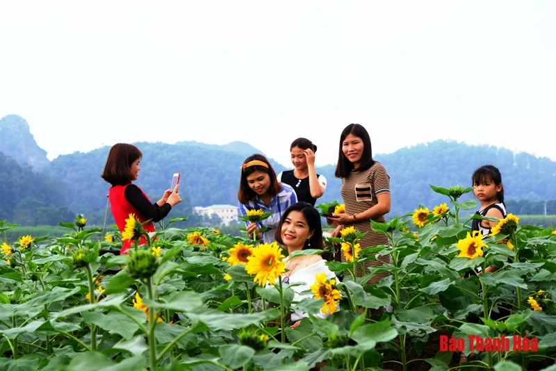 Mê mẩn sắc hoa bên dòng sông Mã