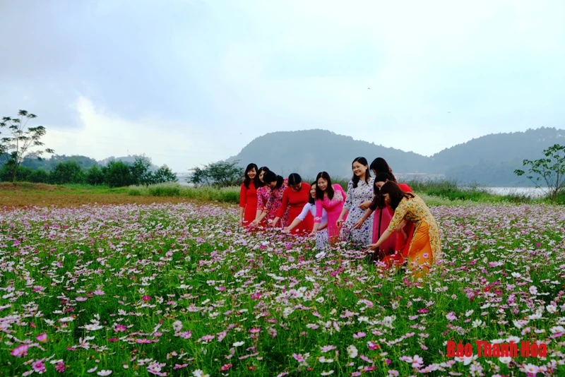 Mê mẩn sắc hoa bên dòng sông Mã