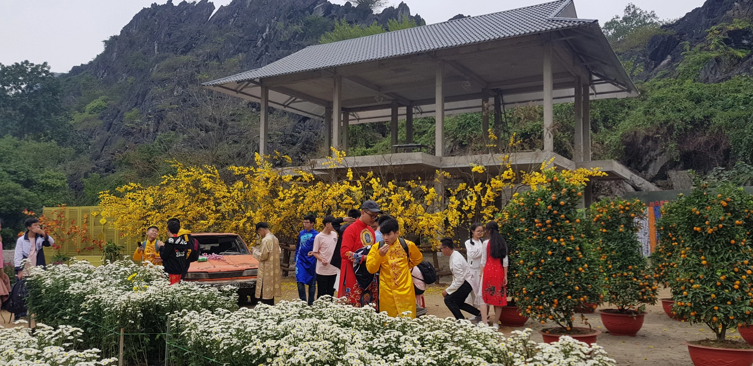 Điểm check-in chụp ảnh cực hot những ngày giáp Tết nguyên đán Canh Tý