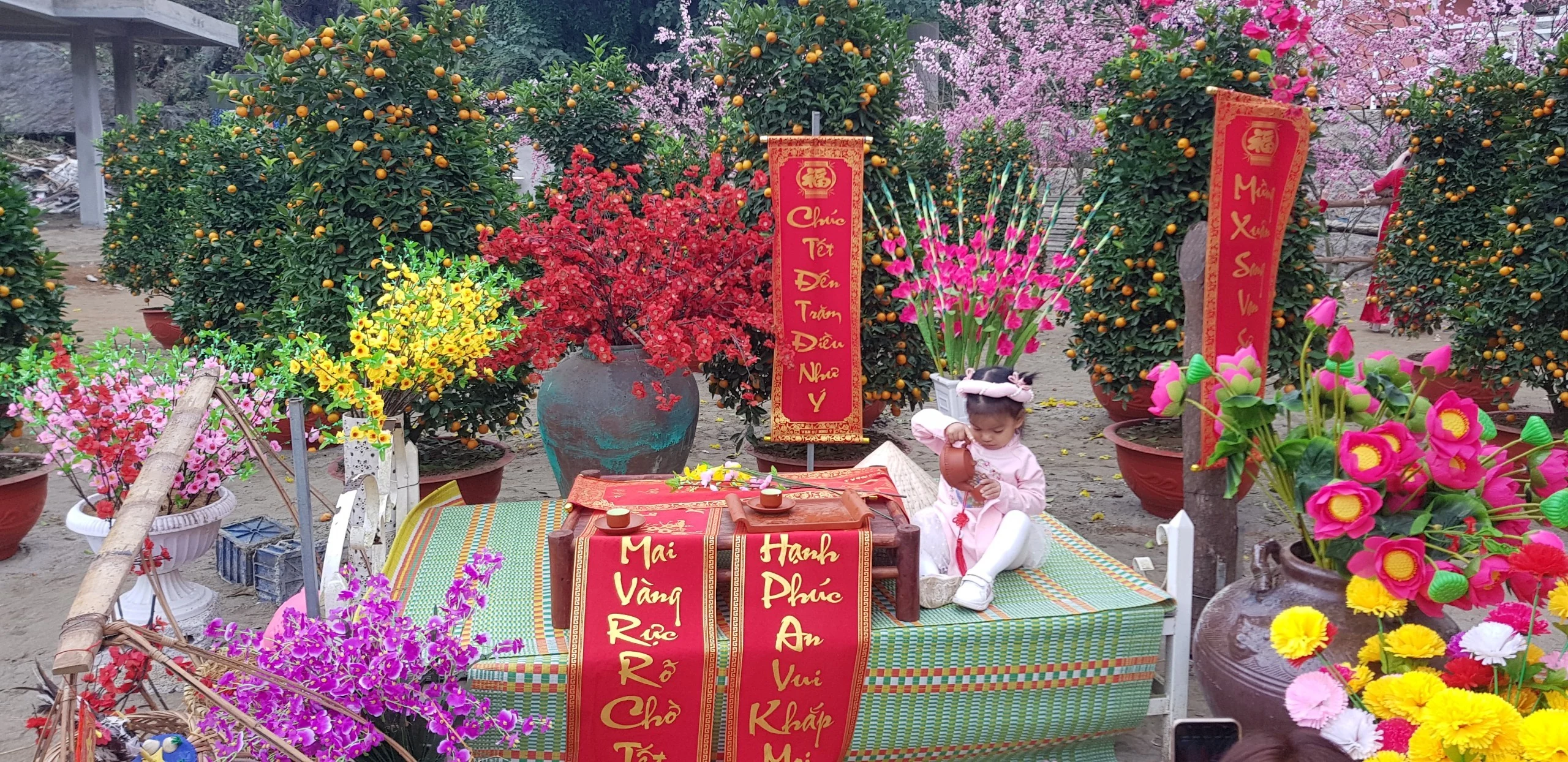 Điểm check-in chụp ảnh cực hot những ngày giáp Tết nguyên đán Canh Tý