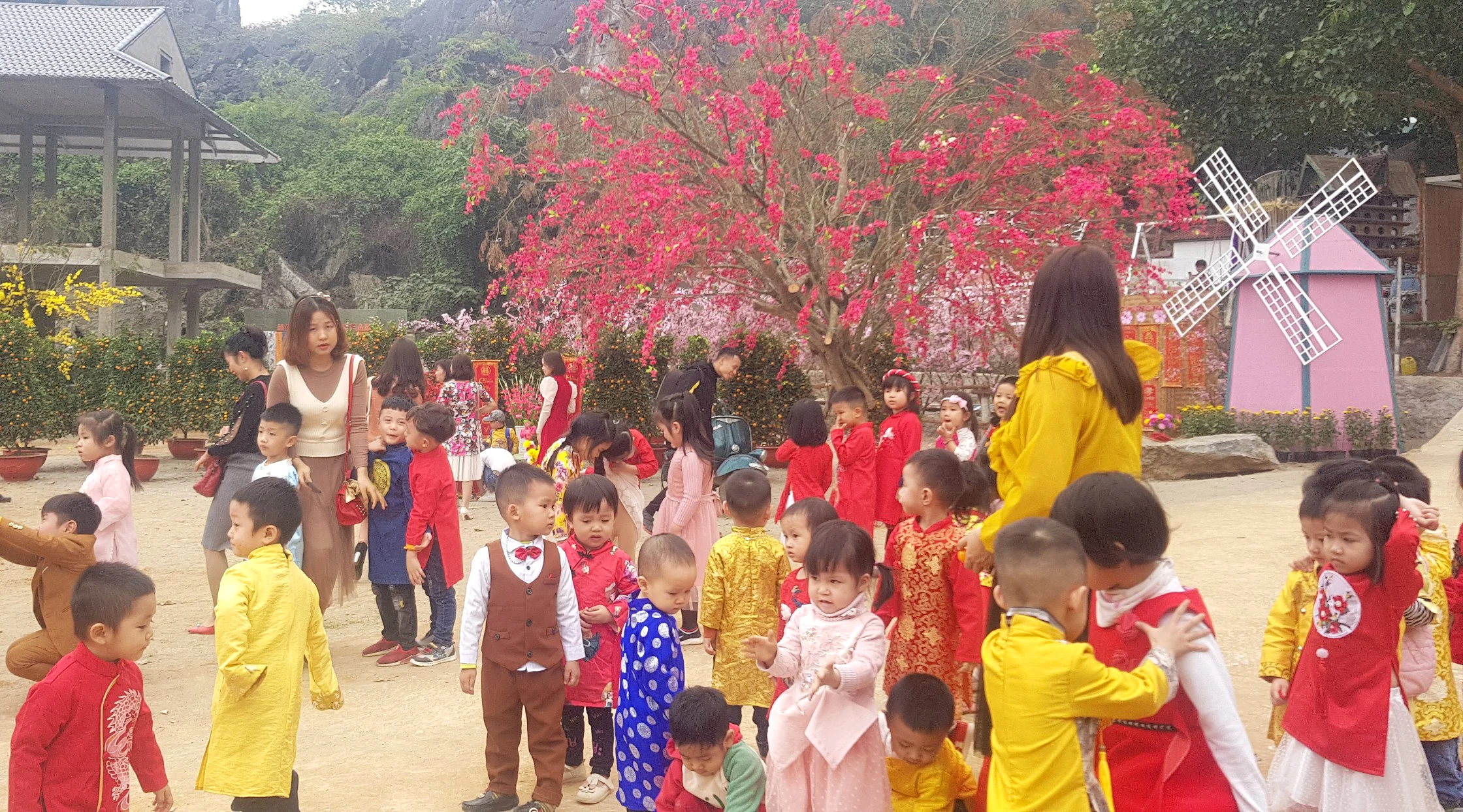 Điểm check-in chụp ảnh cực hot những ngày giáp Tết nguyên đán Canh Tý