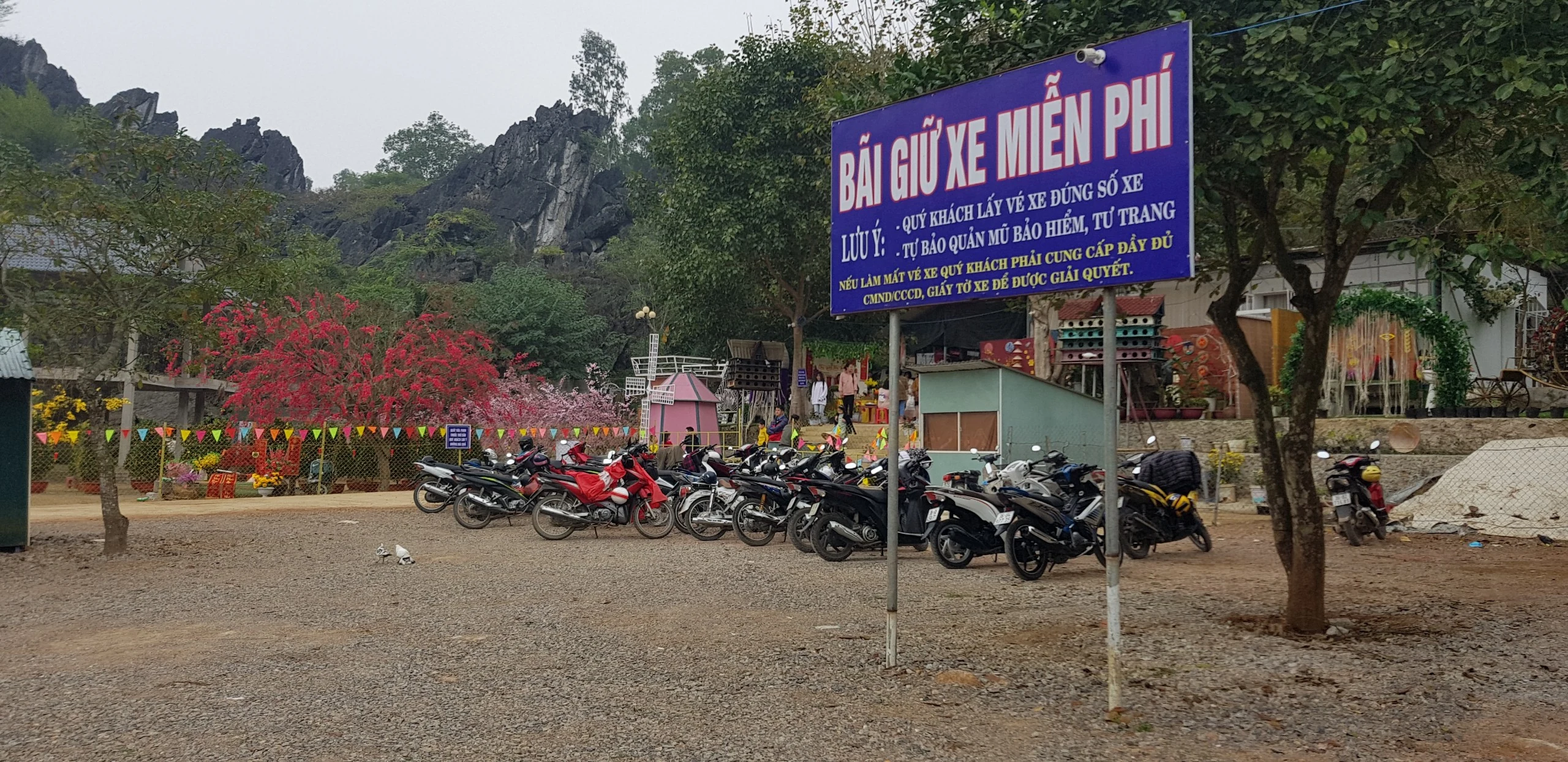 Điểm check-in chụp ảnh cực hot những ngày giáp Tết nguyên đán Canh Tý