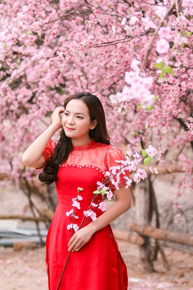 Điểm check-in chụp ảnh cực hot những ngày giáp Tết nguyên đán Canh Tý