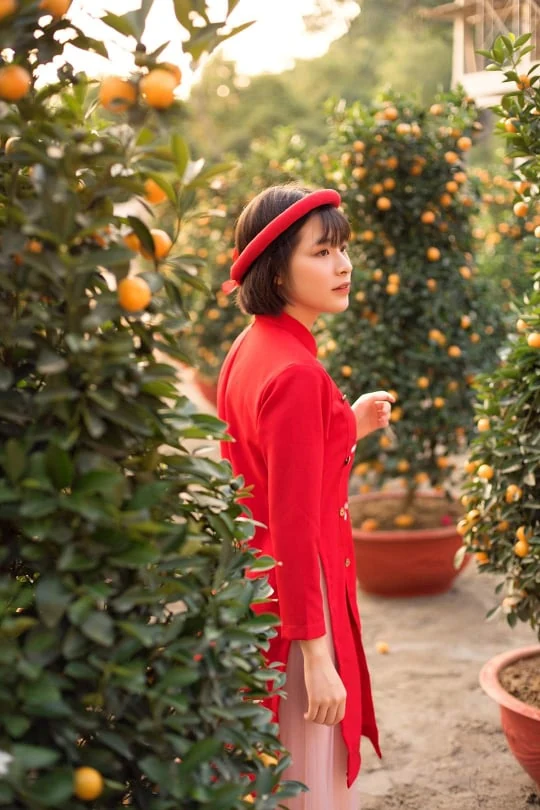 Điểm check-in chụp ảnh cực hot những ngày giáp Tết nguyên đán Canh Tý