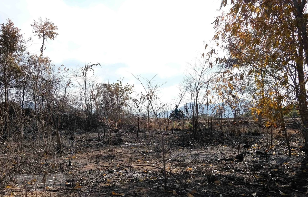 Thanh Hóa đến Quảng Trị nắng nóng trên 40 độ C, nguy cơ cháy rừng cao