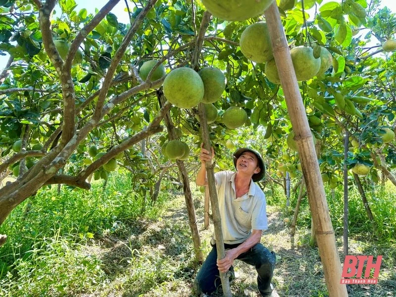 Hành trình trở thành huyện đạt chuẩn Nông thôn mới nâng cao