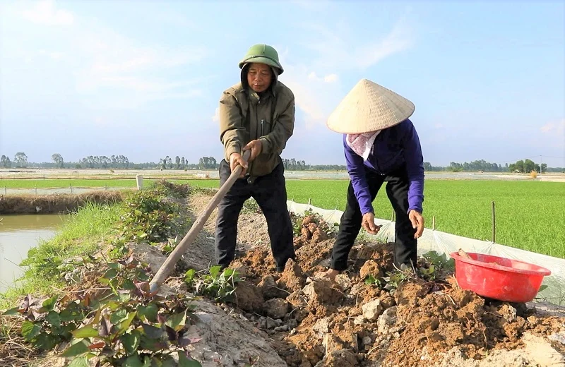 Cách tăng cường sức khỏe của vợ chồng nông dân U70