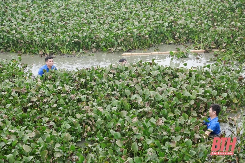 Phấn đấu nạo vét hơn 1,2 triệu m3 kênh mương thủy lợi mùa khô trước 31/12/2024