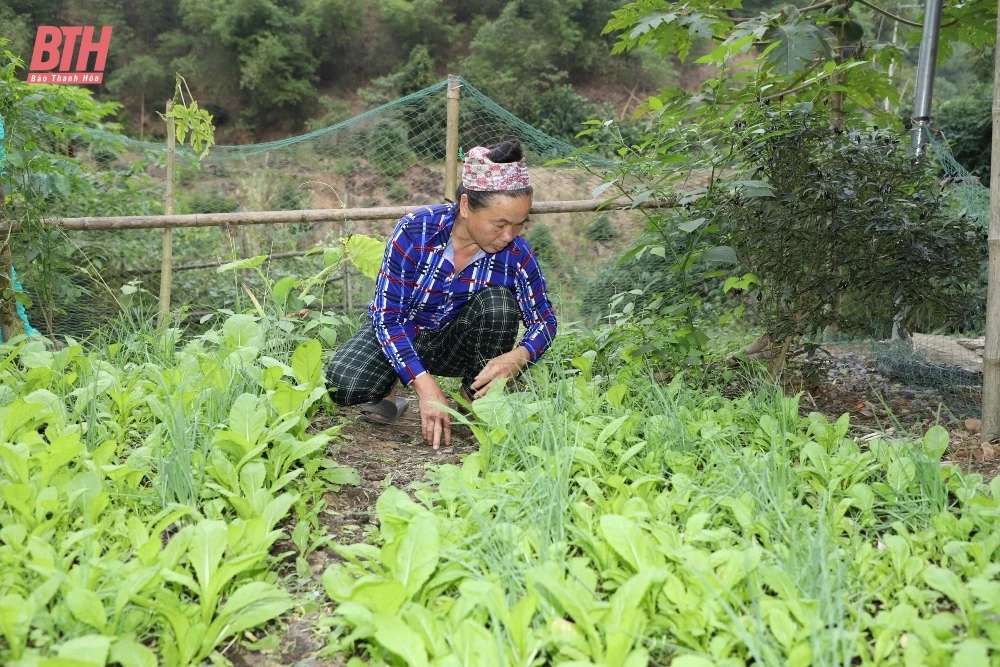 Bố trí, sắp xếp ổn định dân cư khu vực nguy cơ cao thiên tai: Cách làm hay của huyện Quan Hóa