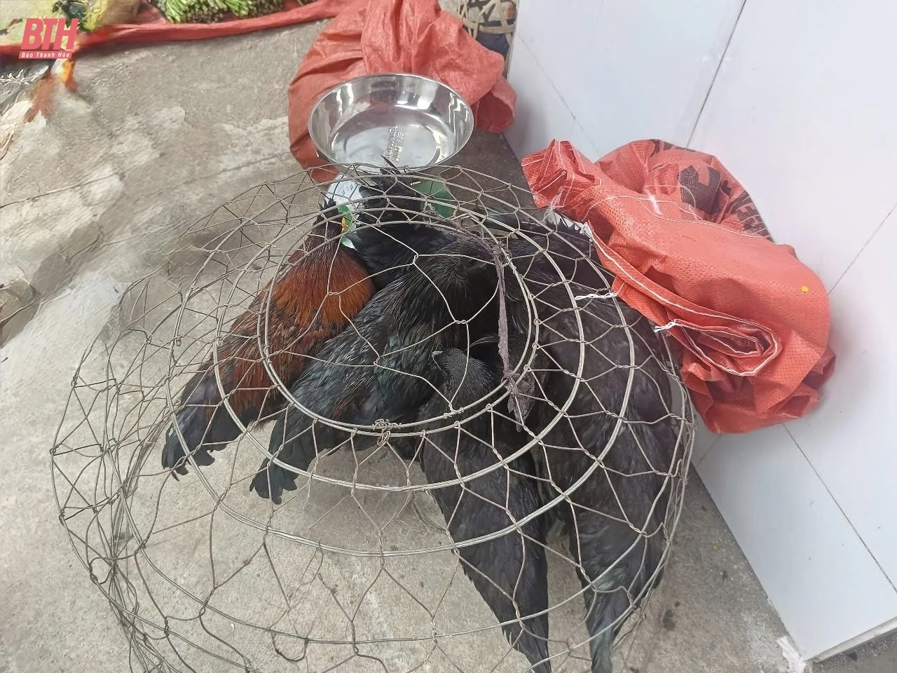 Chợ vùng biên ngày cuối năm