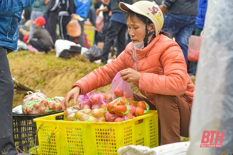 Độc đáo phiên chợ ném cà chua cầu may tại xứ Thanh