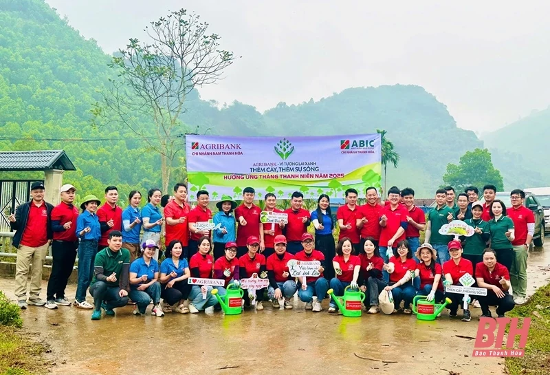 Agribank Nam Thanh Hóa tặng 10.000 cây giống cho người dân xã Mậu Lâm