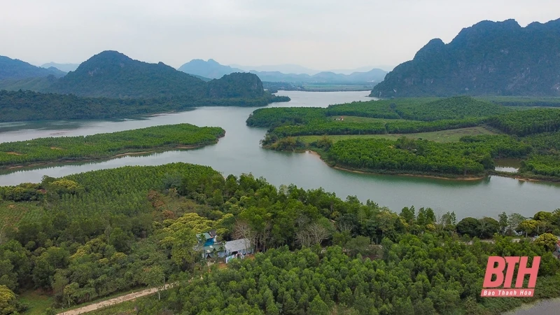 Nuôi ong ở Bến En