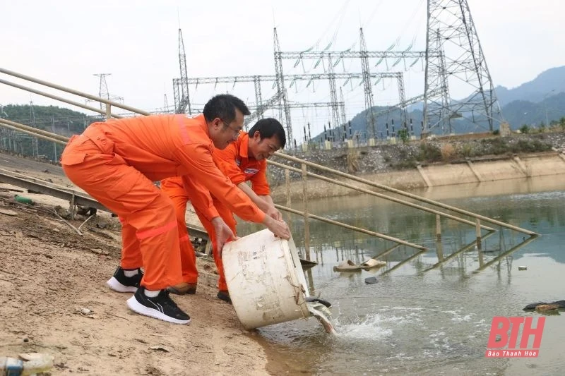 Thả cá giống tái tạo nguồn lợi thủy sản lòng hồ thủy điện Trung Sơn
