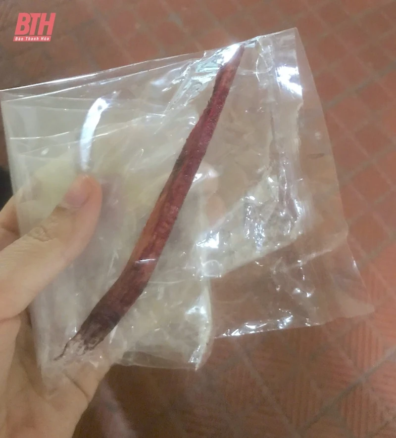 Kỳ tích cứu sống bệnh nhân bị mảnh gỗ xuyên thủng động mạch cảnh