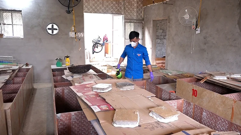 Thanh niên miền núi tiên phong khởi nghiệp từ chăn nuôi dúi