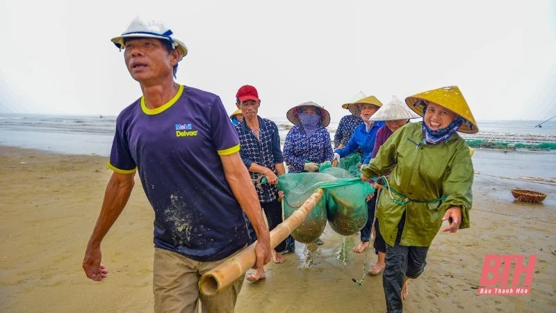 Vượt sóng vươn khơi, giữ hồn biển cả