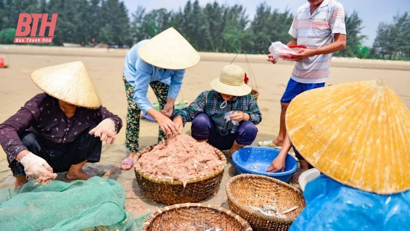 Vượt sóng vươn khơi, giữ hồn biển cả