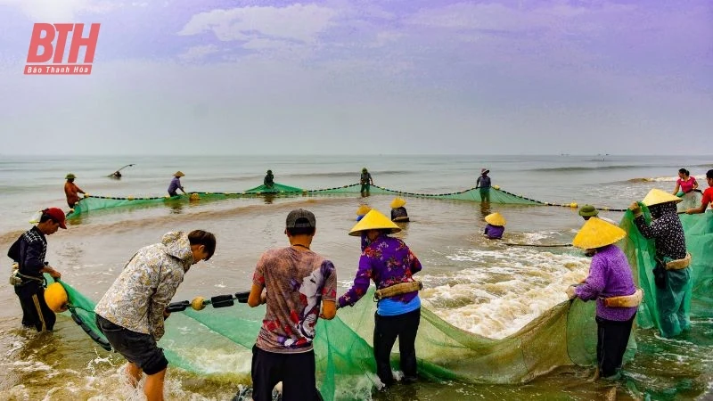 Vượt sóng vươn khơi, giữ hồn biển cả