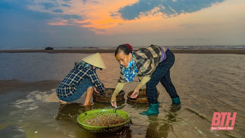 Vượt sóng vươn khơi, giữ hồn biển cả