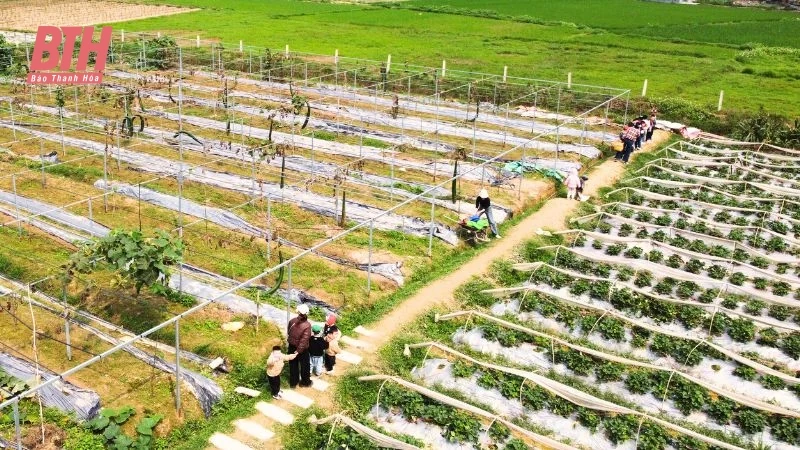 Điểm đến trải nghiệm nông trại lý tưởng cho học sinh