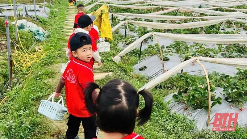 Điểm đến trải nghiệm nông trại lý tưởng cho học sinh