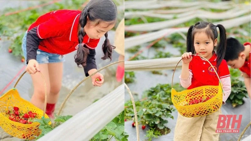 Điểm đến trải nghiệm nông trại lý tưởng cho học sinh