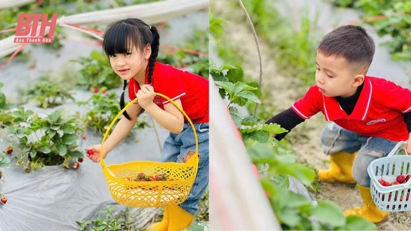 Điểm đến trải nghiệm nông trại lý tưởng cho học sinh