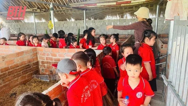 Điểm đến trải nghiệm nông trại lý tưởng cho học sinh