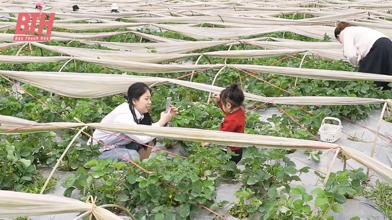 Điểm đến trải nghiệm nông trại lý tưởng cho học sinh