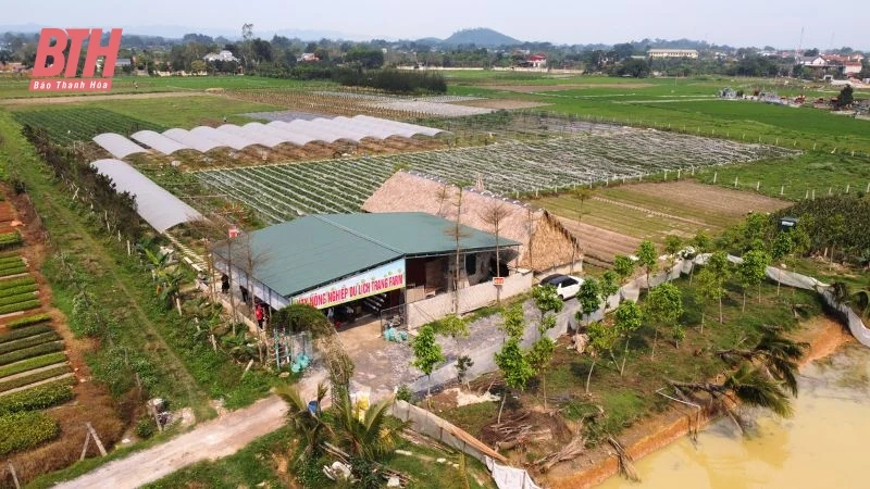 Điểm đến trải nghiệm nông trại lý tưởng cho học sinh