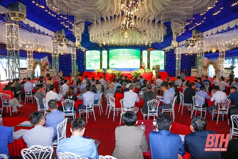 Chuyển đổi xanh: Động lực phát triển bền vững khu vực Bắc Trung bộ